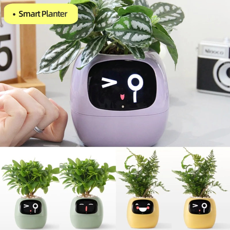 Smart Pot with Expressions and Sensors – Over 49 Expressions, 7 Smart Sensors and AI Chip, Making Plant Growing Easier and More Fun