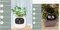 Smart Pot with Expressions and Sensors – Over 49 Expressions, 7 Smart Sensors and AI Chip, Making Plant Growing Easier and More Fun