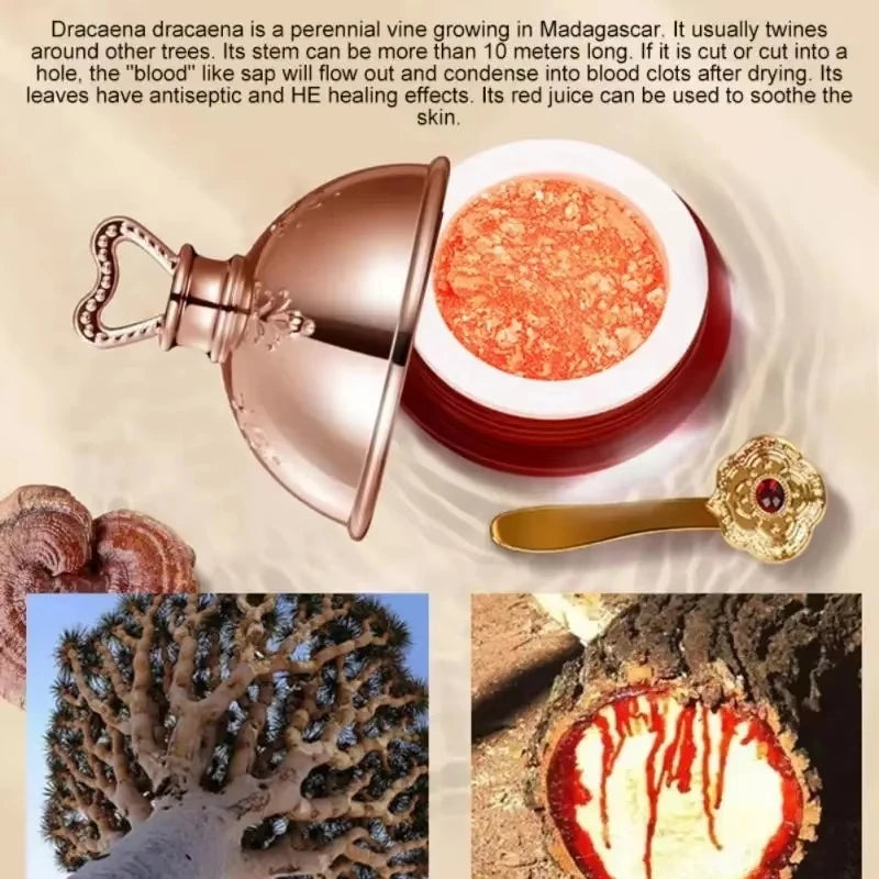 Crema facial con retinol de sangre de dragón: cuidado coreano para la piel que ilumina, reafirma y reafirma la placenta.