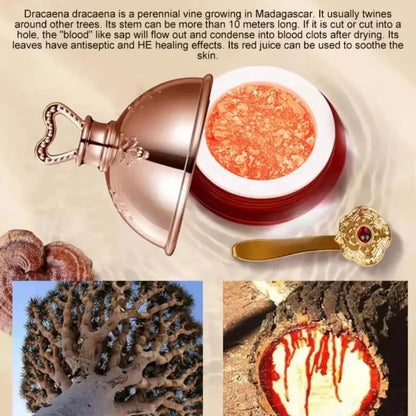 Crema facial con retinol de sangre de dragón: cuidado coreano para la piel que ilumina, reafirma y reafirma la placenta.