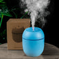 USB Mini Humidifier Essential Oil Diffuser - Notebook with LED for Home and Car