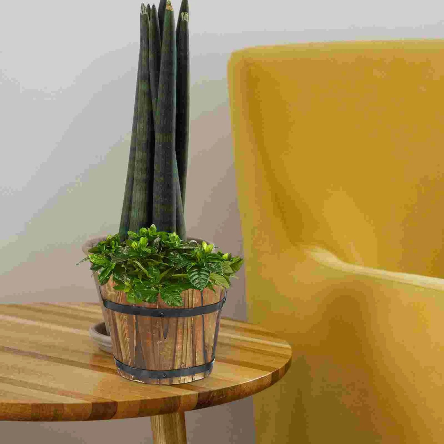 Balde Madeira Rústico para Flores e Suculentas