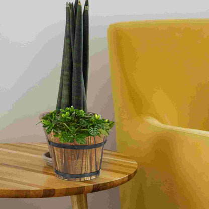 Balde Madeira Rústico para Flores e Suculentas