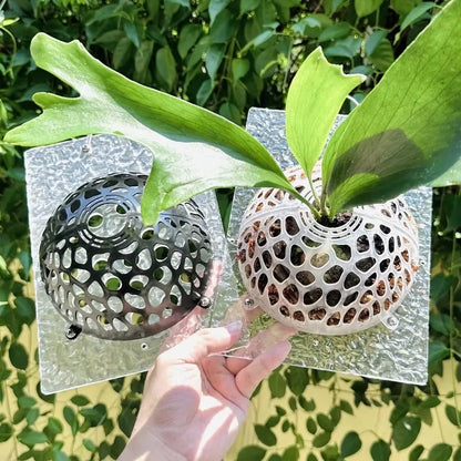 Protetor Solo Plantas Tampa Transparente Vazada