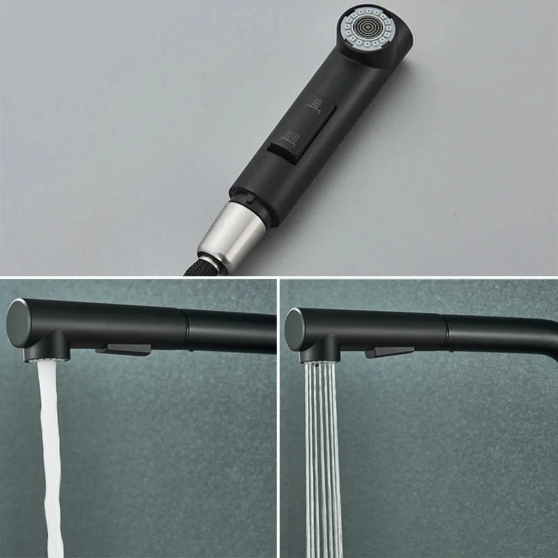 Torneira Cozinha Preta 360° Aço Inoxidável - Design Moderno com Rotação Completa