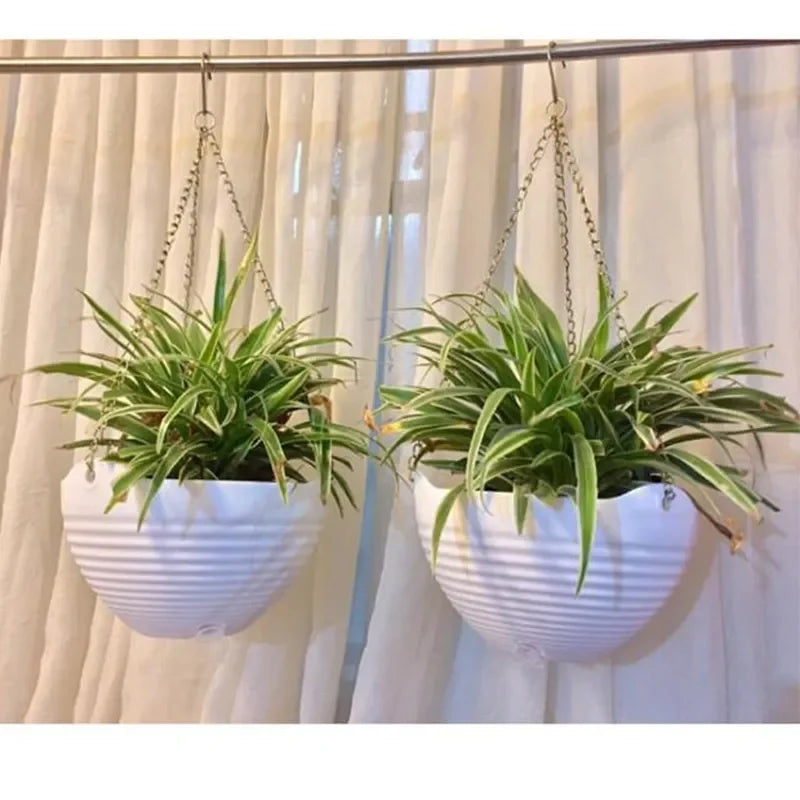 Vaso Parede Suspenso Decorativo para Plantas