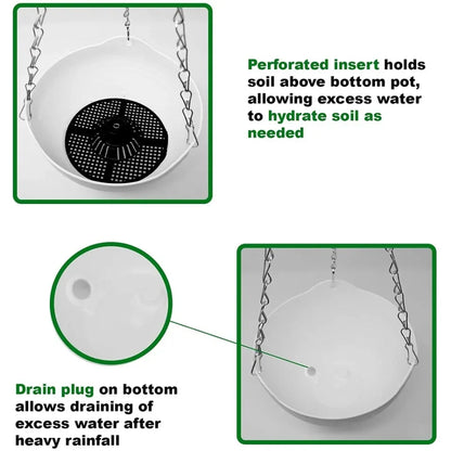 Vaso Parede Suspenso Decorativo para Plantas