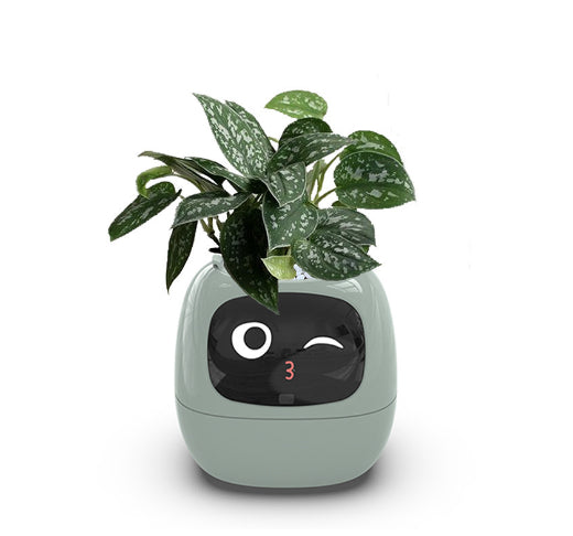 Smart Pot with Expressions and Sensors – Over 49 Expressions, 7 Smart Sensors and AI Chip, Making Plant Growing Easier and More Fun