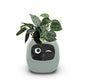 Smart Pot with Expressions and Sensors – Over 49 Expressions, 7 Smart Sensors and AI Chip, Making Plant Growing Easier and More Fun